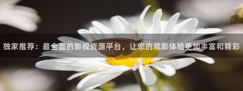 草莓 视频app：独家推荐：最全面的影视资源平台，让您的观影体验更加丰富和精彩