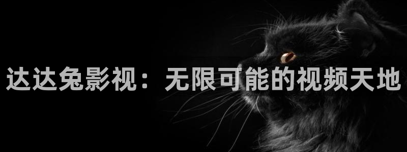 草莓app在线视频：达达兔影视：无限可能的视频天地