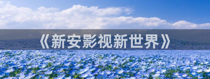 草莓视频看黄的：《新安影视新世界》