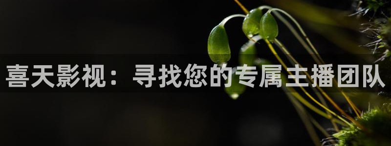 草莓在线精品免费视频：喜天影视：寻找您的专属主播团队