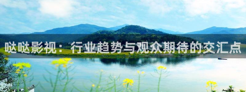 草莓视频播放器视频